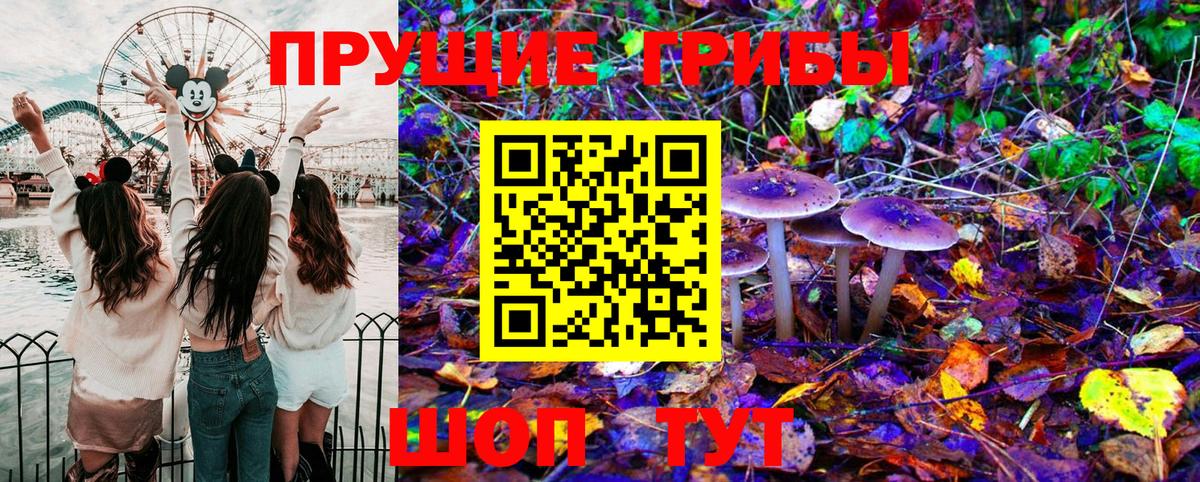 Псилоцибиновые грибы GOLDEN TEACHER Мелеуз